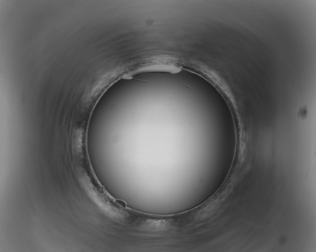 X0000116760057200912241151