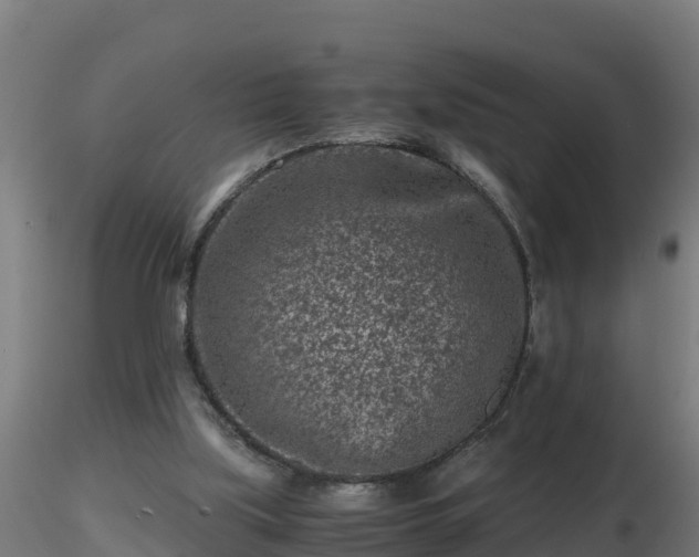 X0000116760059200912241151