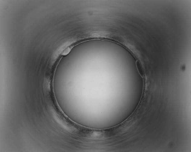 X0000116760060200912241151