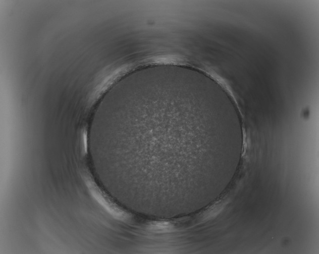 X0000116760061200912241151