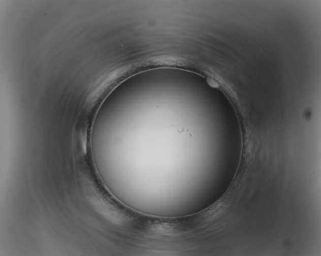 X0000116760062200912241151