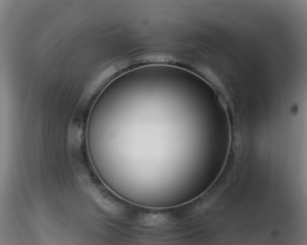 X0000116760063200912241151