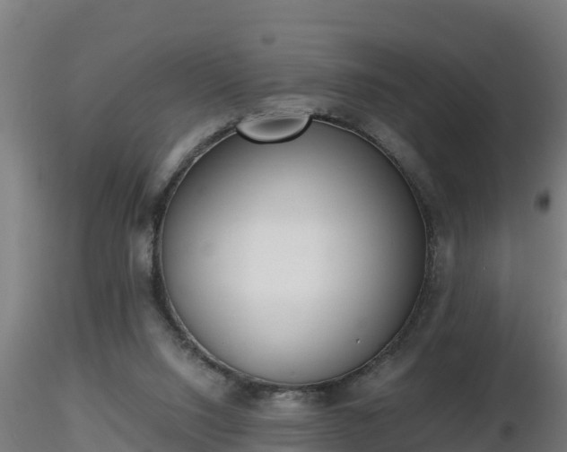 X0000116760064200912241151
