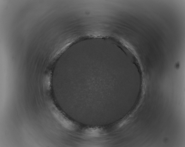X0000116760065200912241151