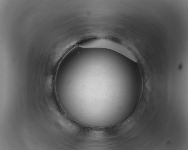 X0000116760066200912241151