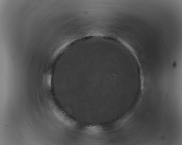 X0000116760067200912241151