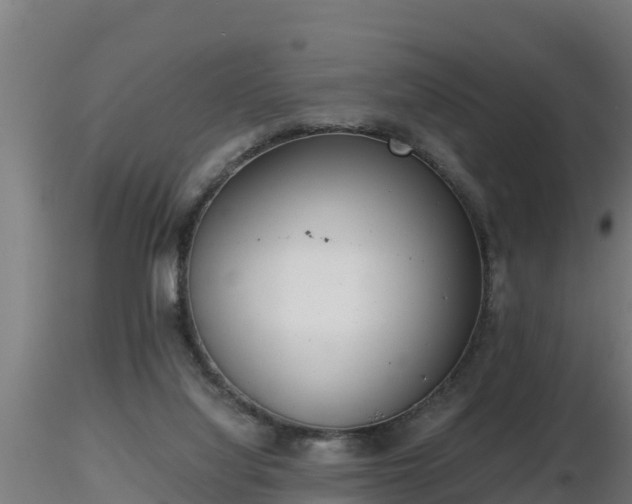 X0000116760068200912241151