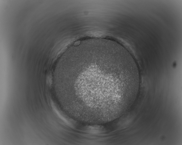 X0000116760069200912241151