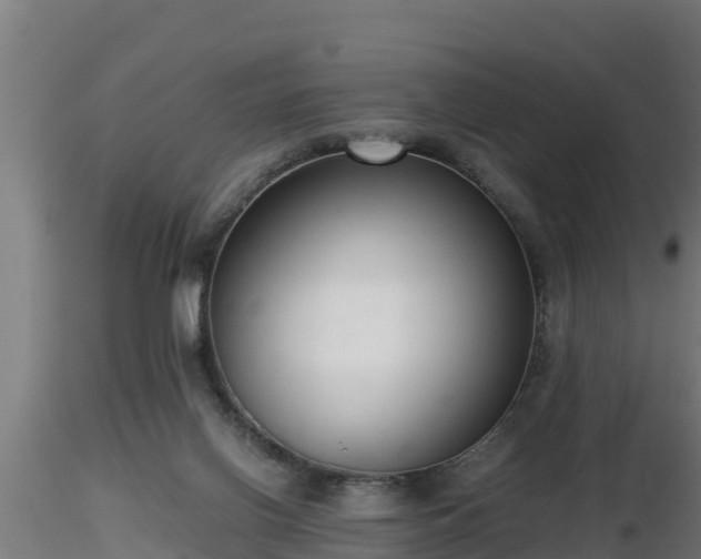 X0000116760070200912241151