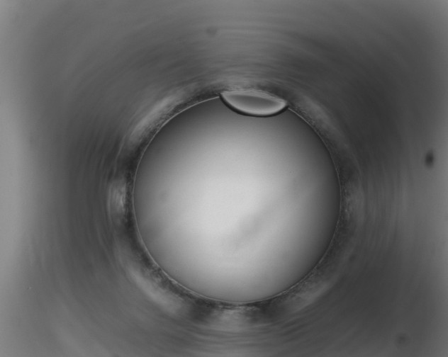 X0000116760072200912241151