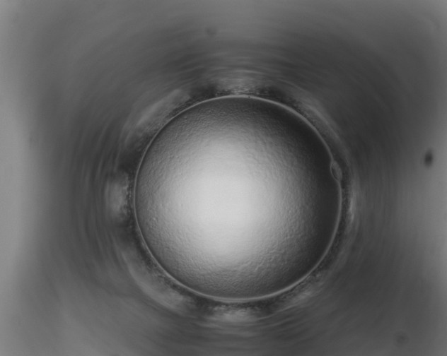 X0000116760073200912241151