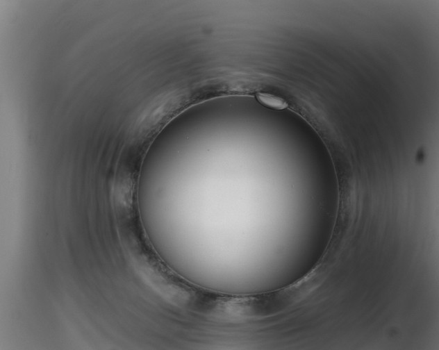 X0000116760078200912241151