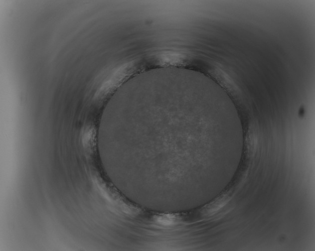 X0000116760079200912241151