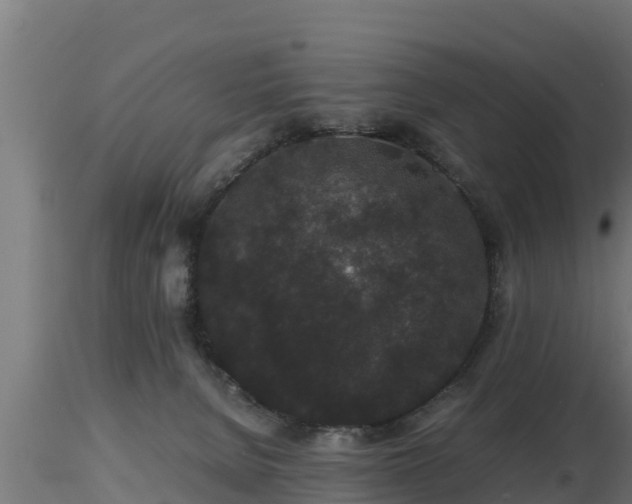 X0000116760080200912241151
