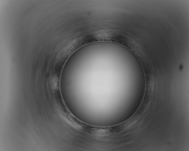 X0000116760081200912241151