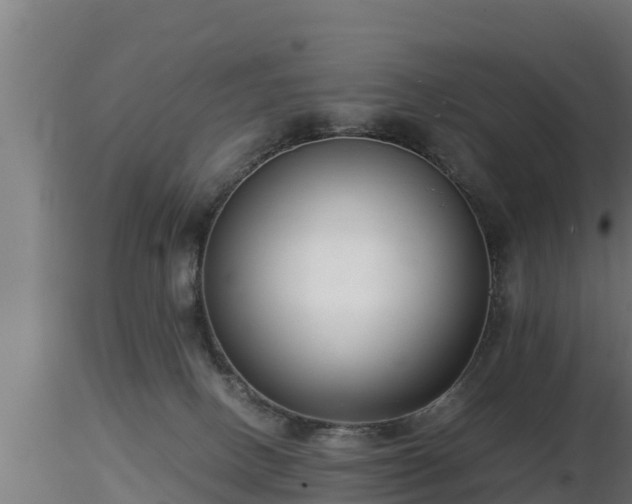 X0000116760082200912241151