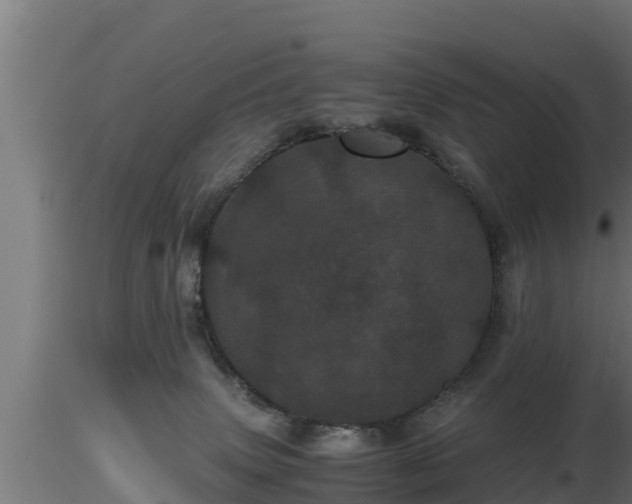 X0000116760083200912241151
