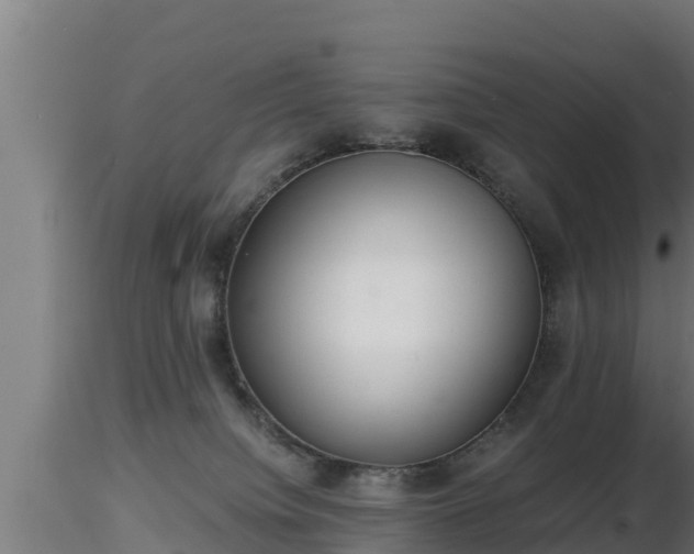 X0000116760084200912241151