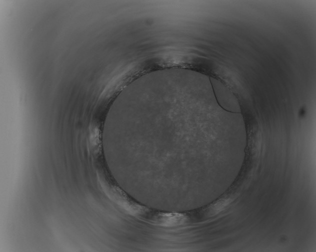 X0000116760087200912241151