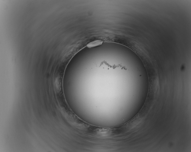X0000116760088200912241151