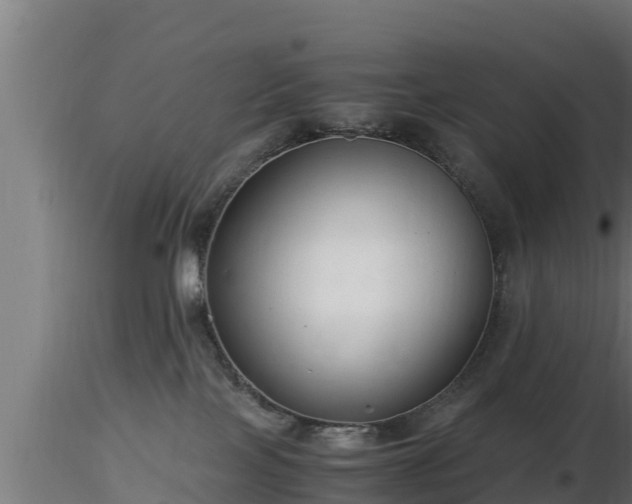 X0000116760089200912241151