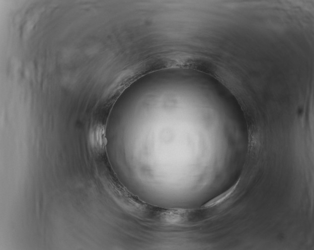 X0000116760094200912241151