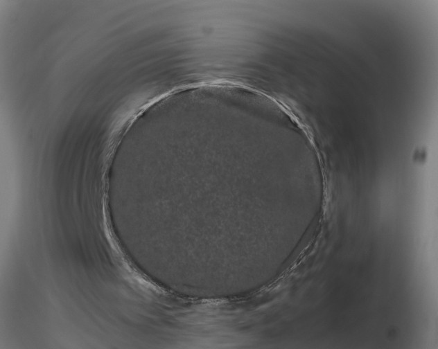 X0000116760097200912241151