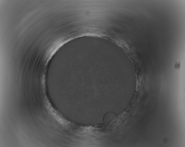 X0000116760098200912241151