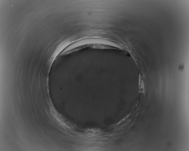 X0000116760099200912241151