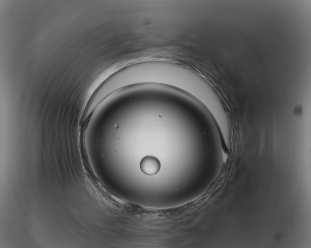 X0000116760100200912241151
