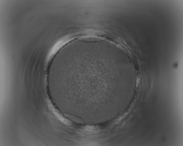 X0000116760101200912241151