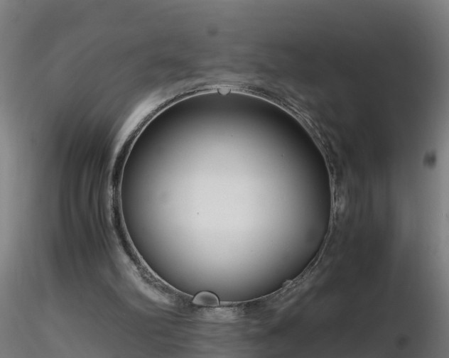 X0000116760102200912241151