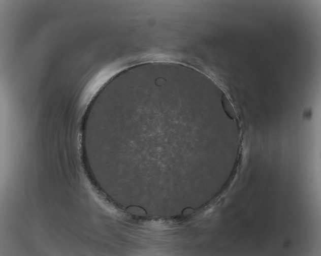 X0000116760103200912241151