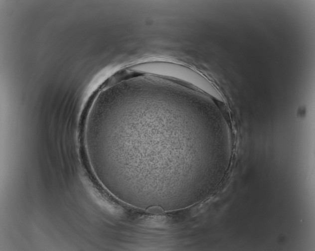 X0000116760104200912241151