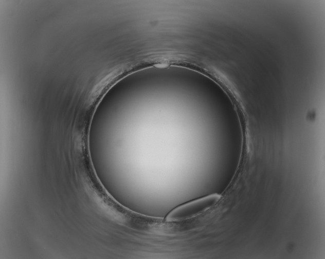 X0000116760105200912241151