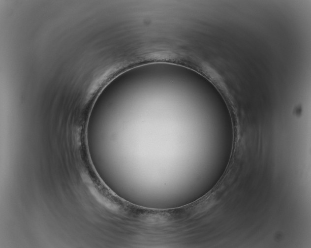 X0000116760106200912241151