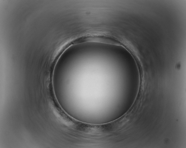 X0000116760107200912241151