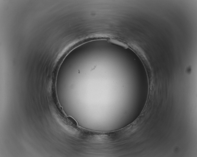 X0000116760108200912241151