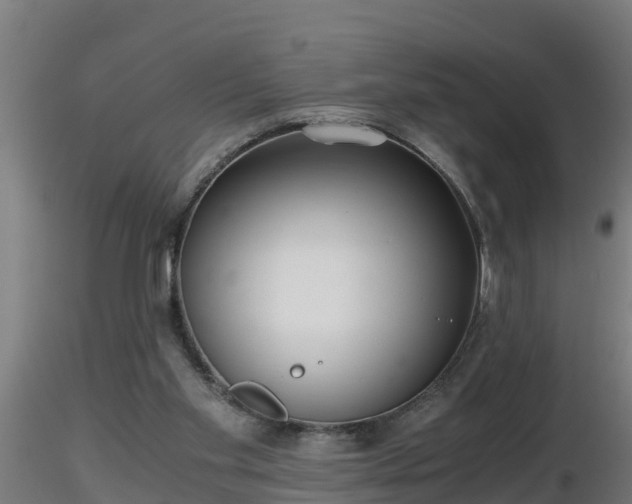 X0000116760109200912241151