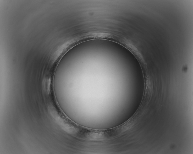X0000116760110200912241151