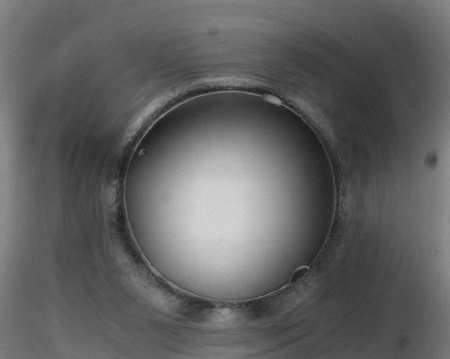 X0000116760111200912241151