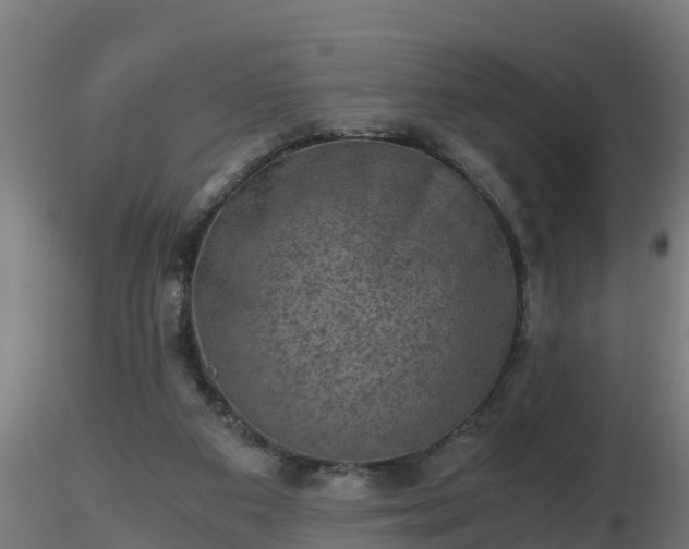 X0000116760113200912241151