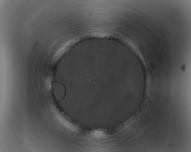 X0000116760114200912241151