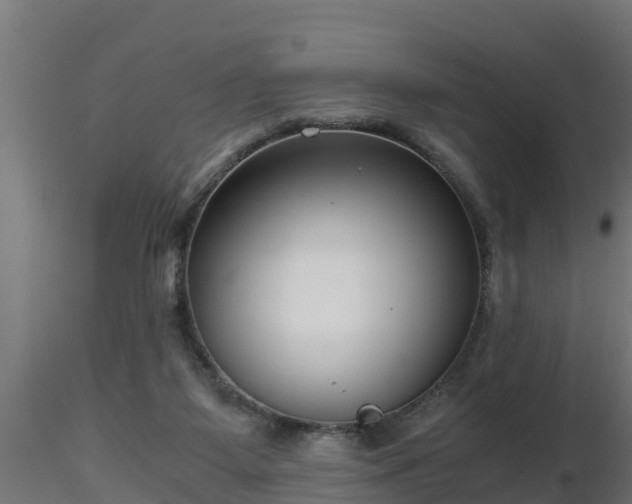 X0000116760115200912241150
