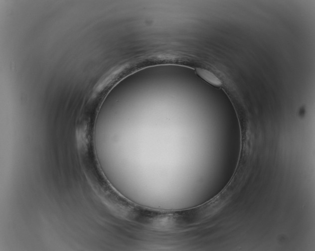 X0000116760116200912241150