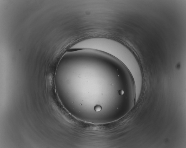 X0000116760117200912241150