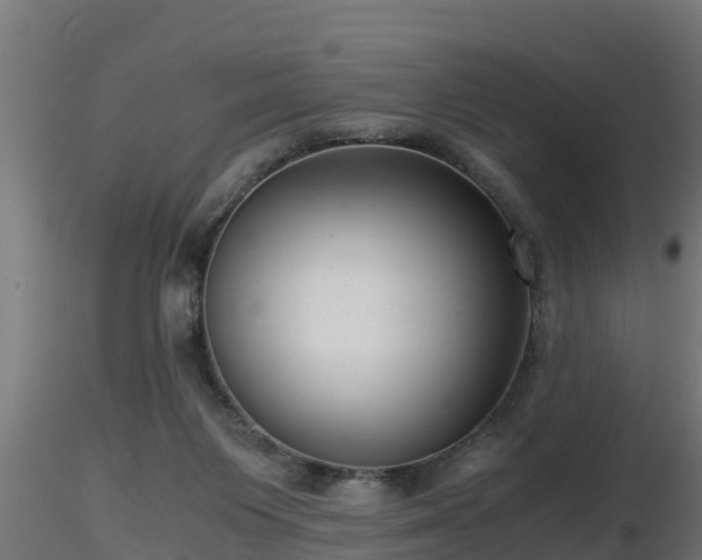 X0000116760119200912241150