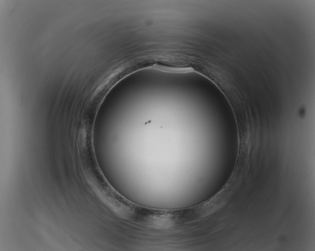 X0000116760120200912241150