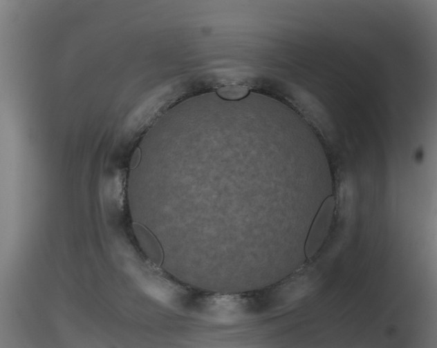 X0000116760121200912241150