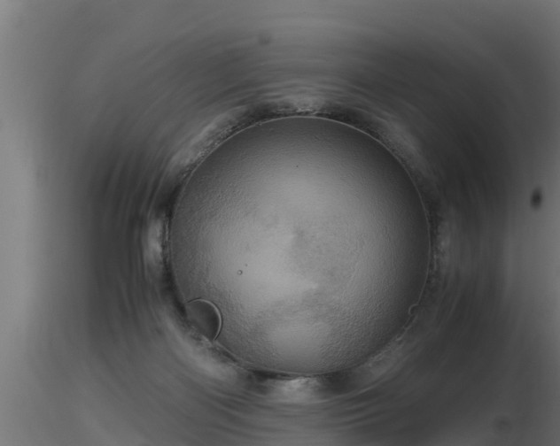 X0000116760122200912241150